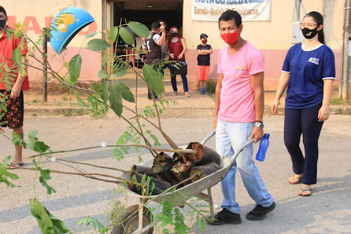 Secretaria do Meio Ambiente promove plantio nas escolas municipais de Águas Lindas.