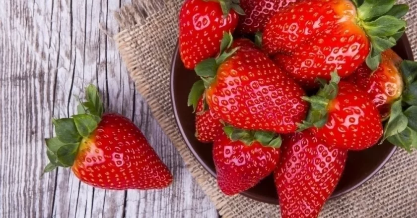 12 alimentos que ajudam a aumentar a imunidade
