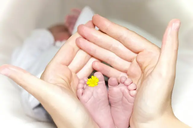 Aborto é a principal causa de morte no mundo pelo quarto ano consecutivo
