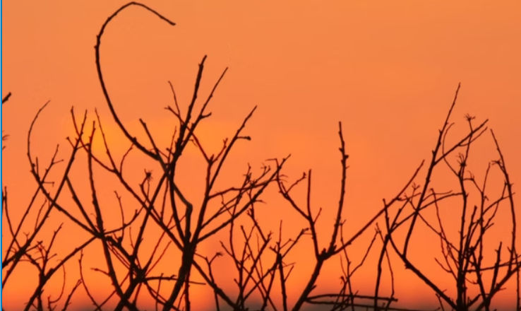 Brasil vive extremos climáticos no mês de setembro. Veja previsão