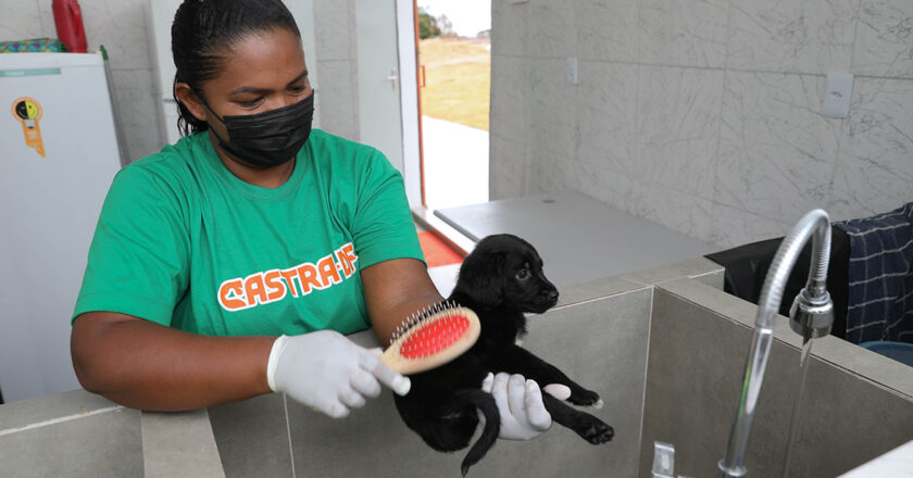 Programa Castra-DF inaugura abrigo público temporário para animais de rua
