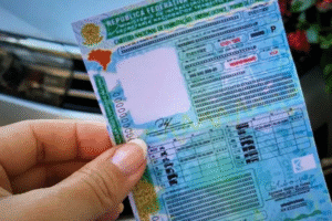 Após novo modelo da CNH, aumenta número de interessados em tirar habilitação em SP