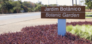 Jardim Botânico avança com escola, creche, UBS e viaduto que melhoram a vida da população