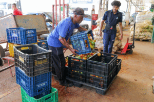 Programa Desperdício Zero já beneficia 57 entidades com quase 100 toneladas de alimentos em 2026