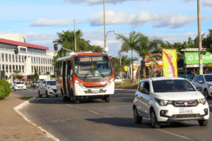 Com mais de 21 mil acessos por dia, Zebrinhas fortalecem integração no Distrito Federal