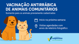 Proteção animal ganha reforço em Valparaíso de Goiás com feira de adoção e campanha antirrábica